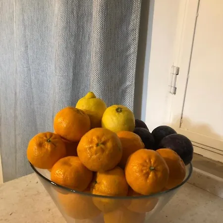 Artroom Garden 아파트